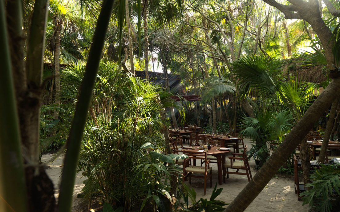 How Noma Found Design Synergy with the Yucatán Peninsula SURFACE