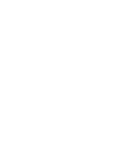 Schiller Projects