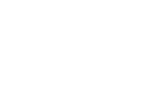 Hotel Theodore