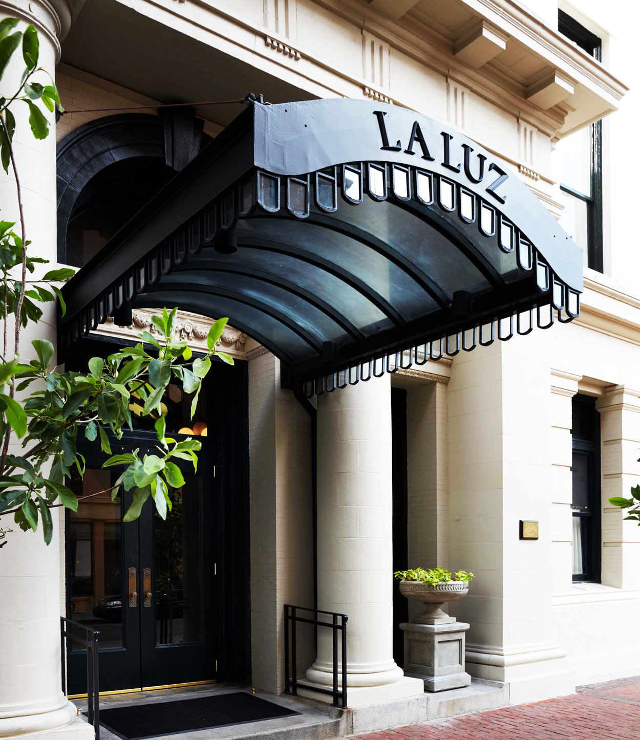 Opening Shot New Orleans's Maison de la Luz SURFACE