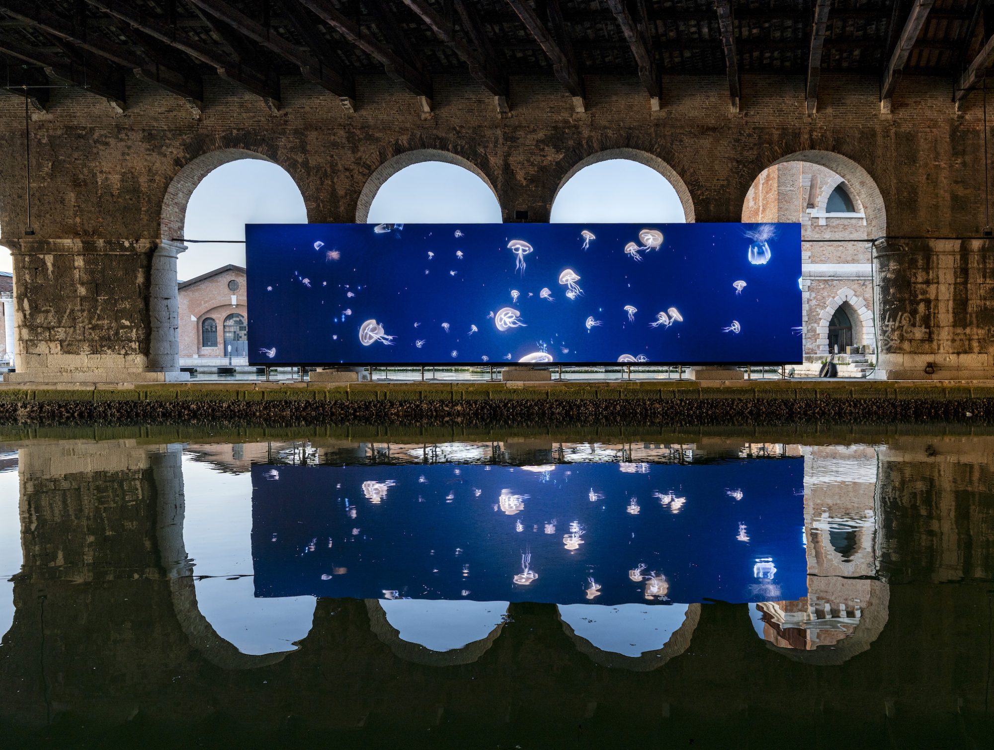 Wu Tsang's VR Film and Sound Installation Takes Viewers on a Journey Through the Eyes of a Whale – SURFACE - Vimarsana News