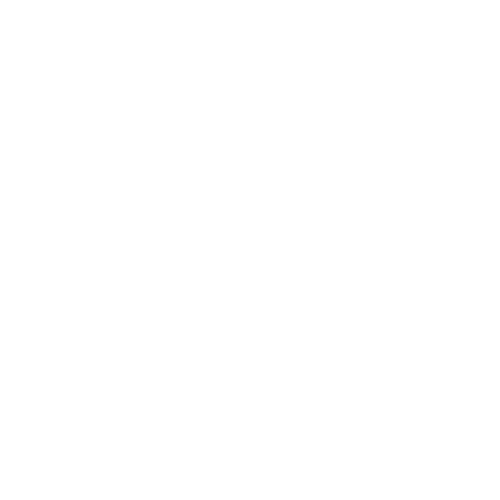 BLINK