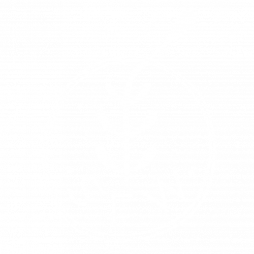 Studio SFW